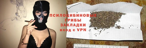 соль ск Горняк