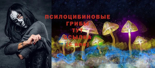 соль ск Горняк