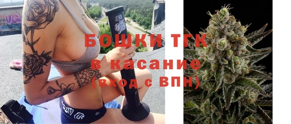 ALPHA PVP Горнозаводск