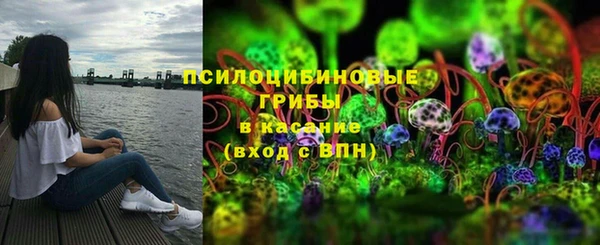прущие грибы Магас