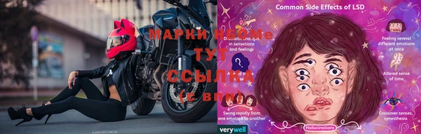 соль ск Горняк