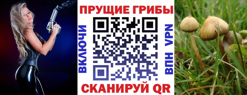 даркнет сайт  Данков  Псилоцибиновые грибы ЛСД 